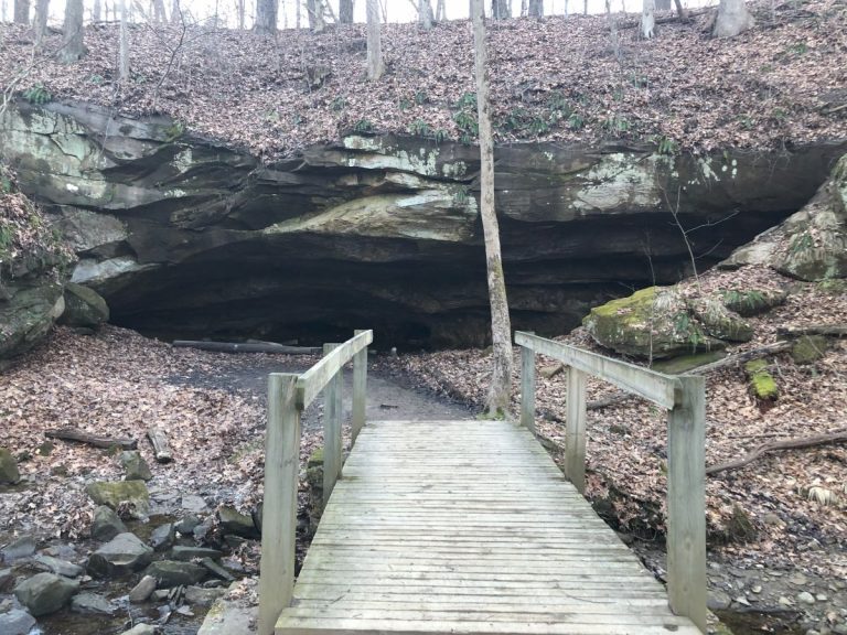 Deer Lick Cave Trail (Brecksville Reservation)