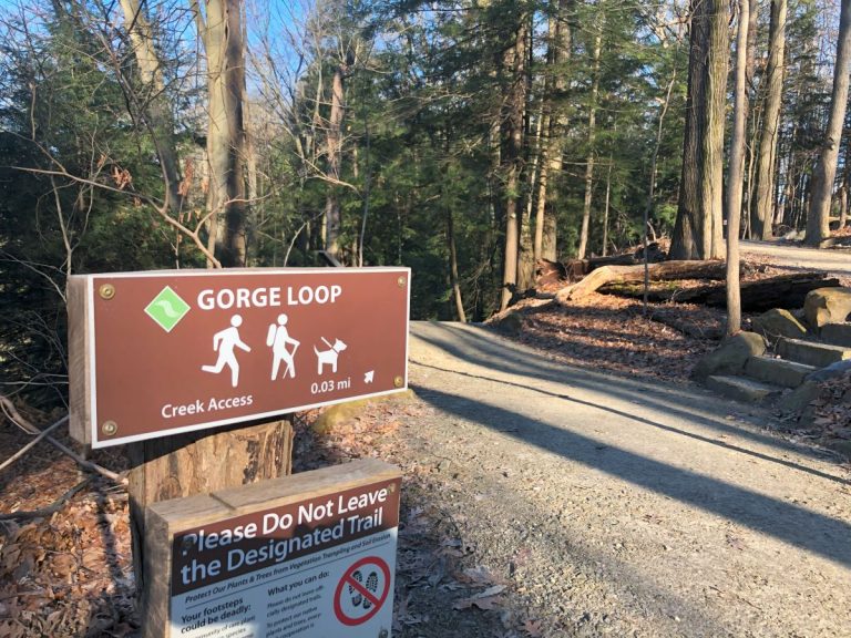 Gorge Loop Trail (Brecksville Reservation)