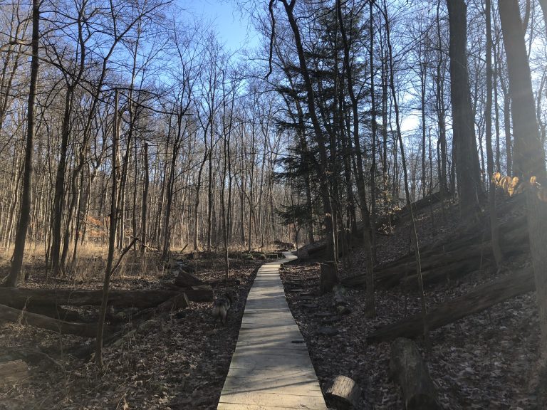 Hemlock Trail (Brecksville Reservation)