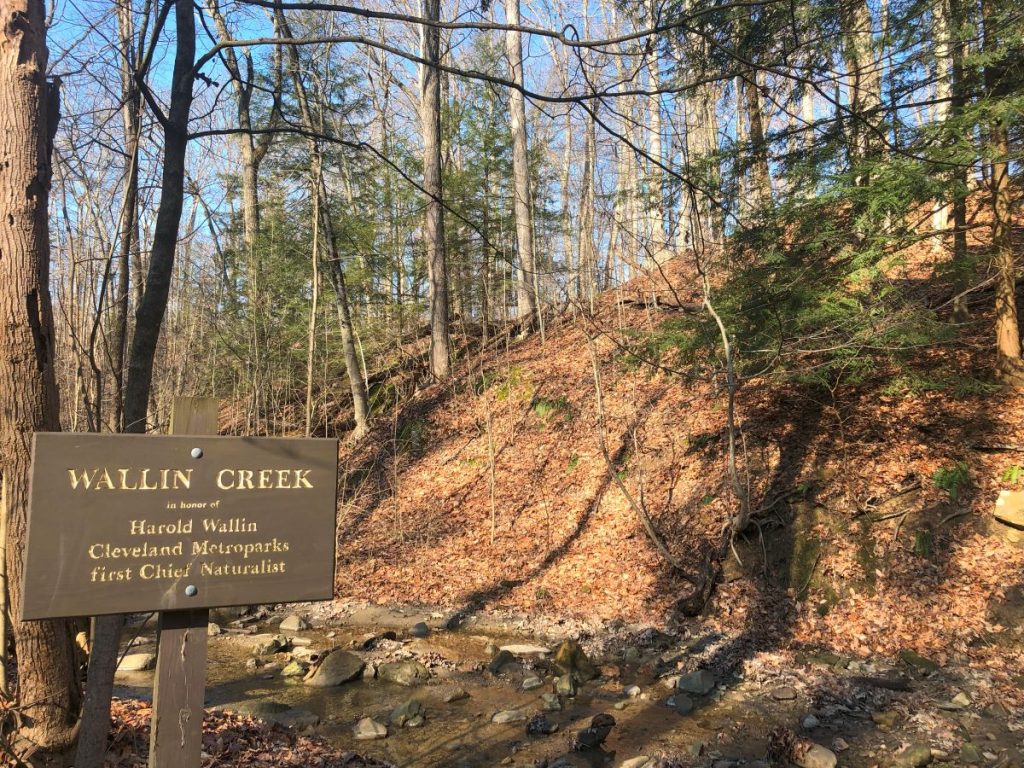 wallin creek brecksville reservation 