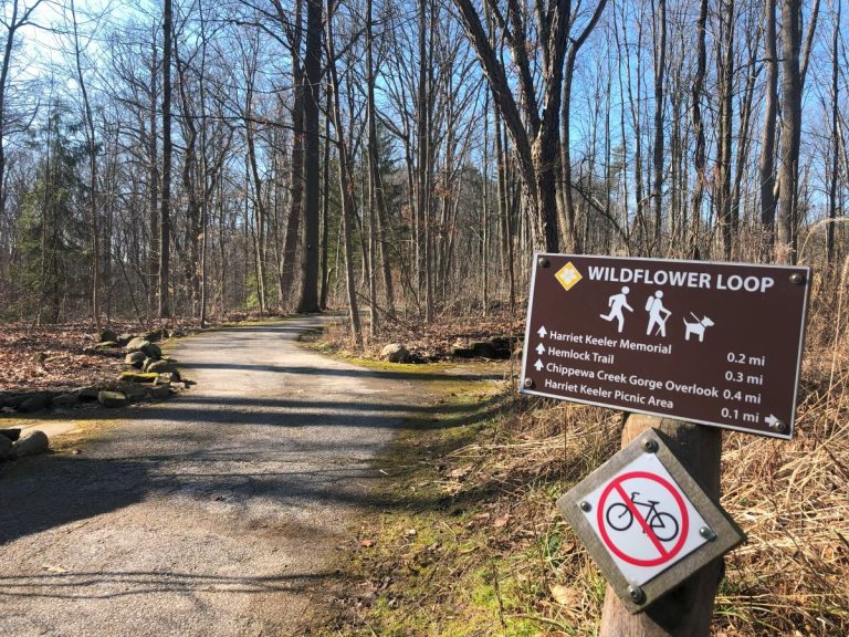 Wildflower Loop Trail (Brecksville Reservation)