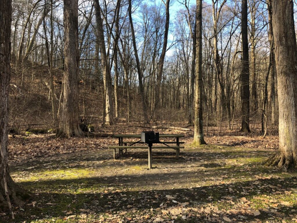 Chippewa Picnic Area