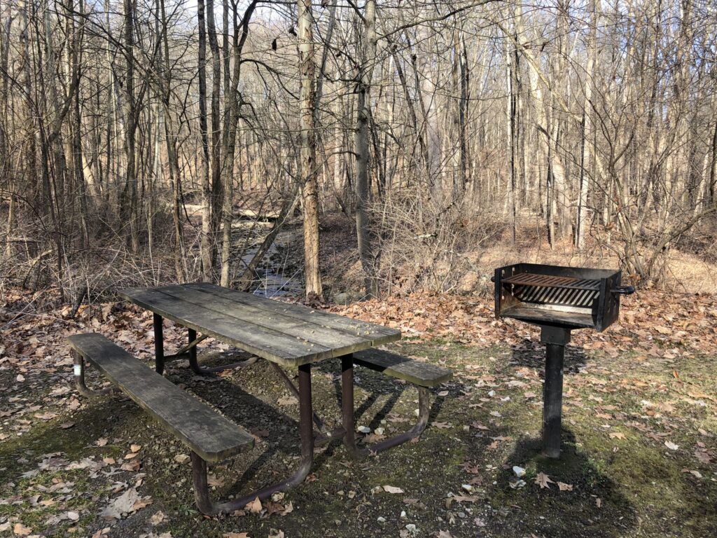 Chippewa Picnic Area Picnic Table