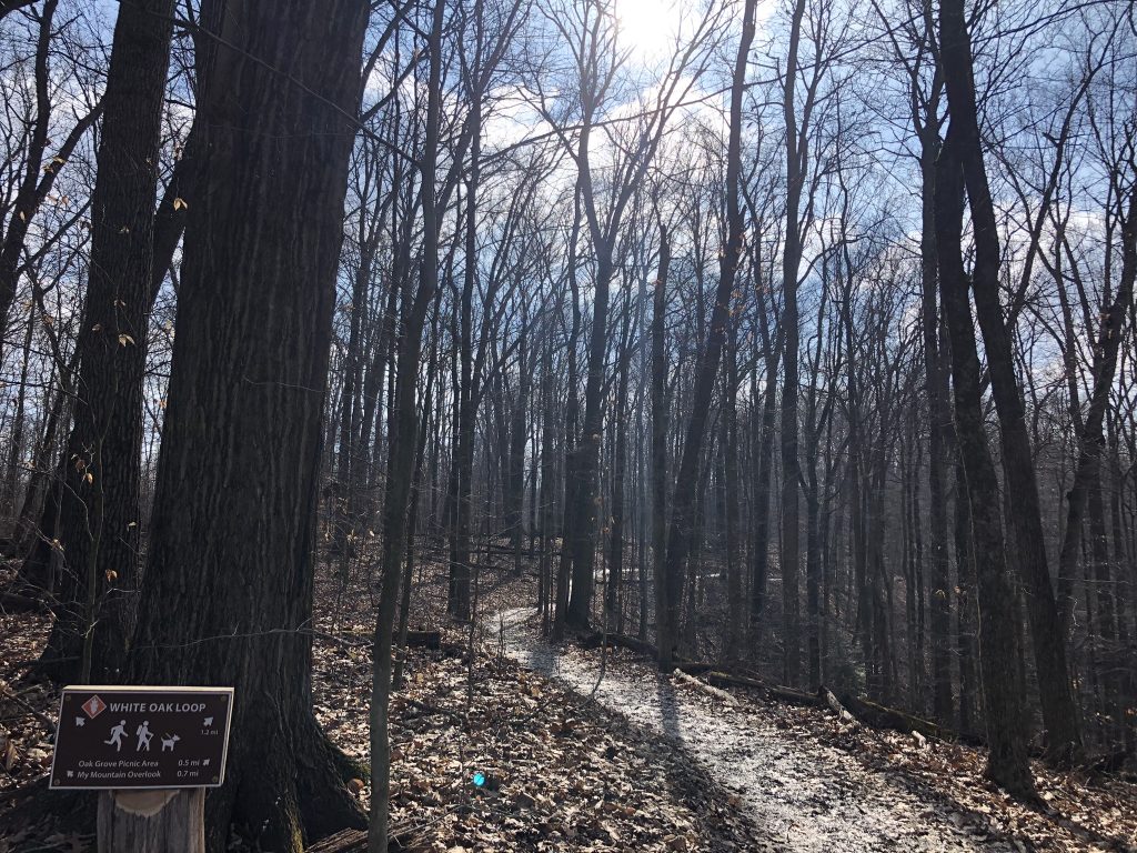 white oak trail (Brecksville Reservation)