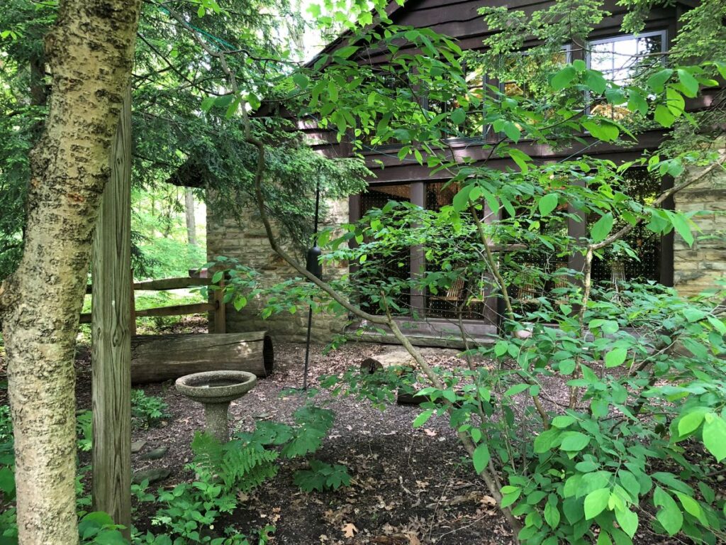 Brecksville Reservation Bird Feeding