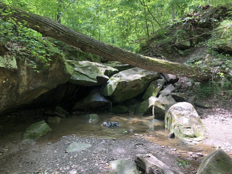 Deer Lick Cave Falls (Brecksville Reservation)