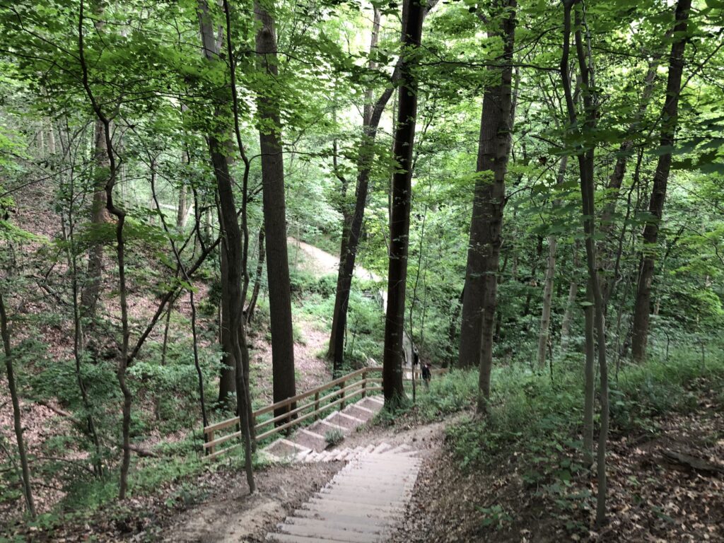 Blue Hen Falls Stairs