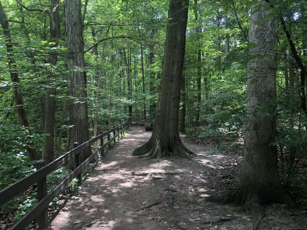 Brecksville Reservation Hiking Trails