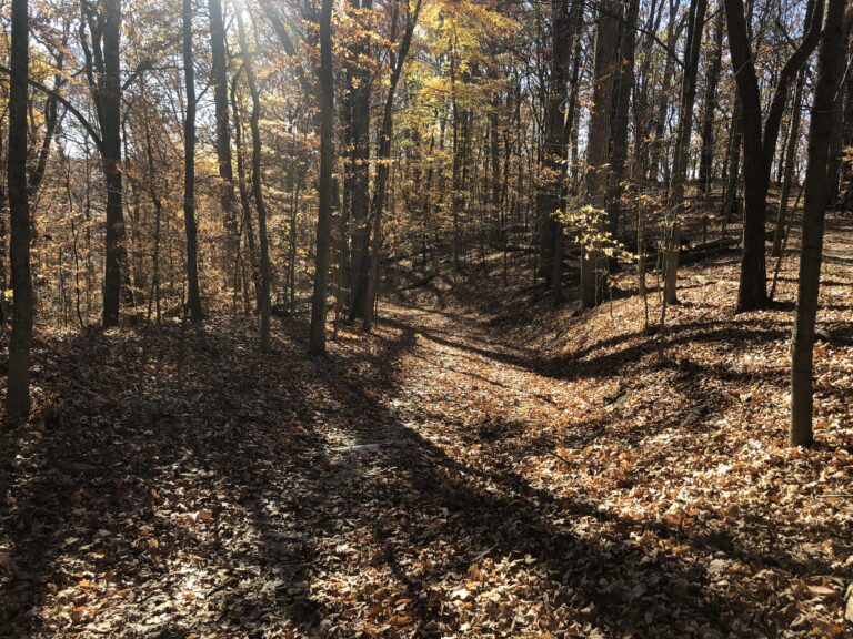 Old Carriage Trail (Cuyahoga Valley National Park)