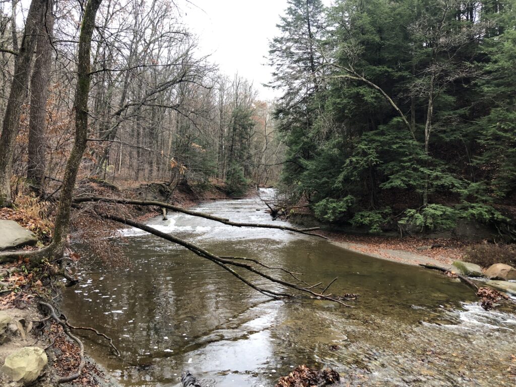 brandywine creek