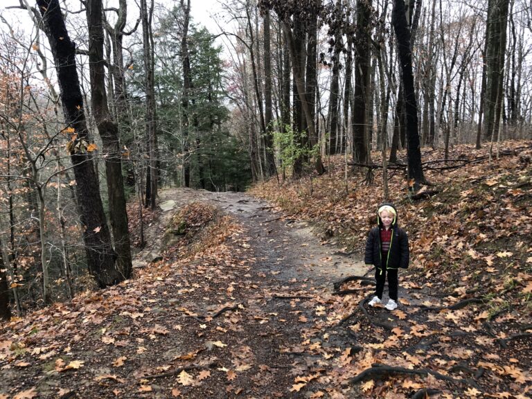 Brandywine Gorge Loop Trail (Cuyahoga Valley National Park)