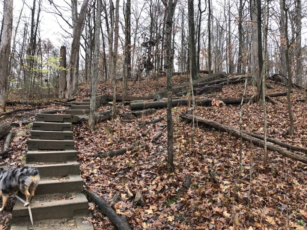 brandywine gorge trail stairs