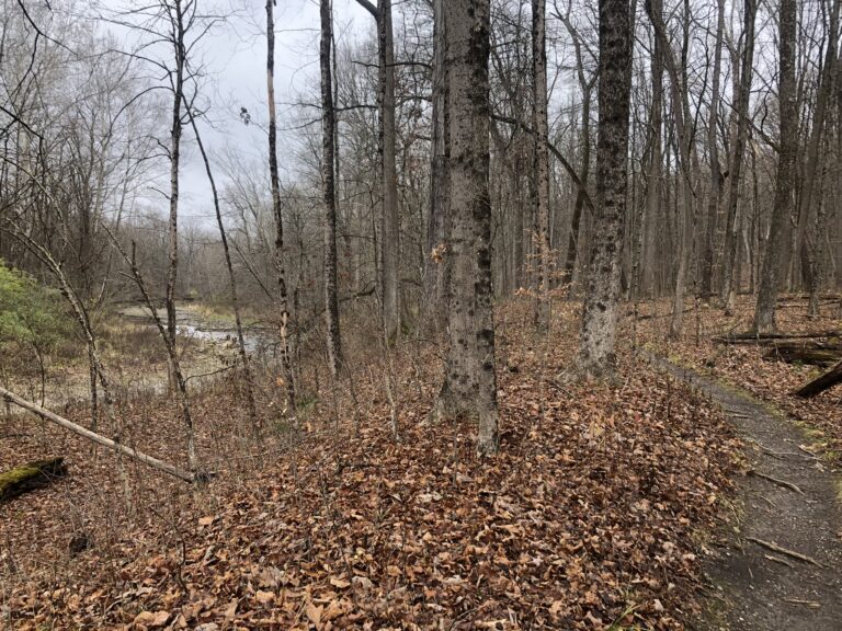 Furnace Run Trail (Cuyahoga Valley National Park)