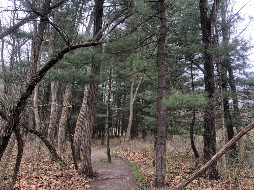 furnace run single track