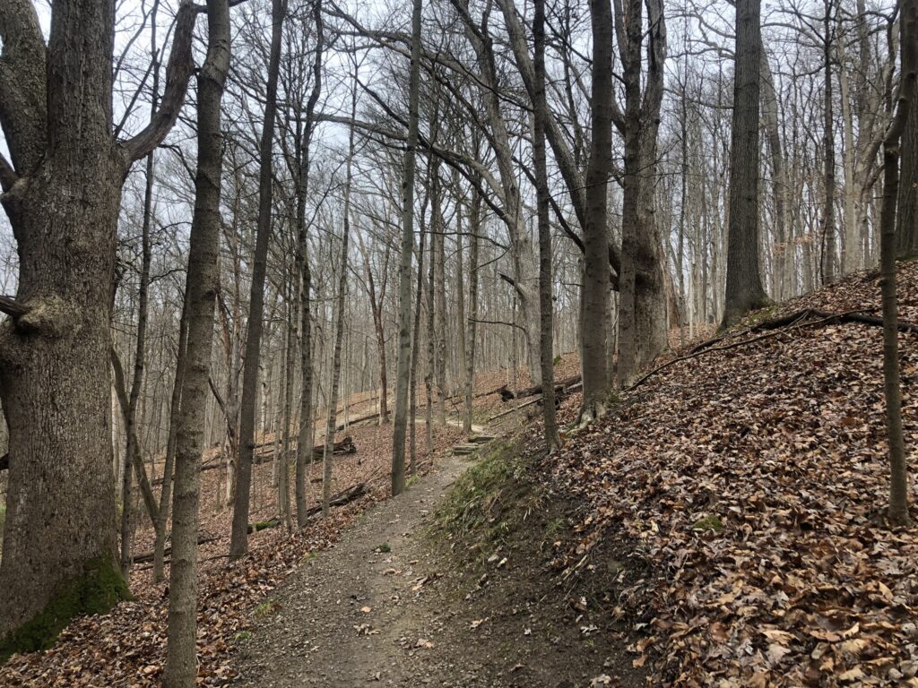 furnace run trail