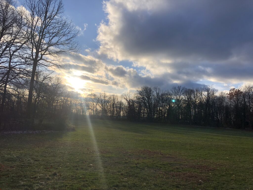 Ledges Shelter Field