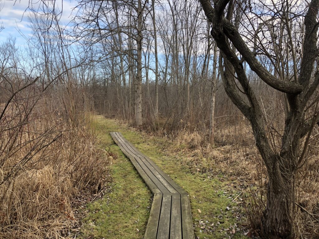 Pond View Trail Wooden Boards