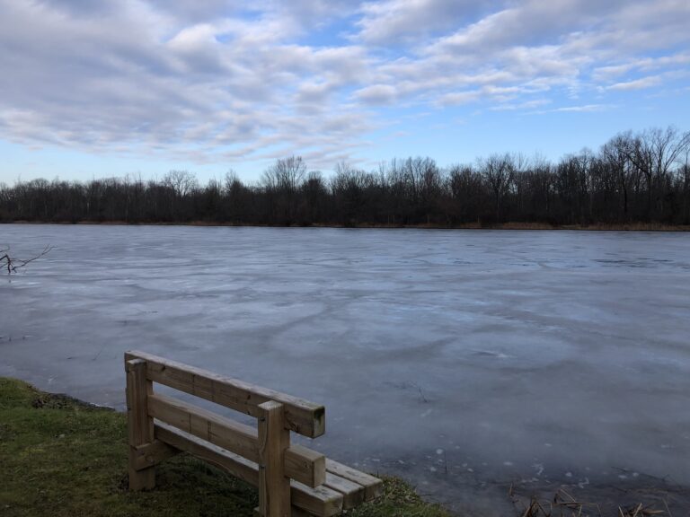 Pond View Trail (Tinkers Creek State Park)