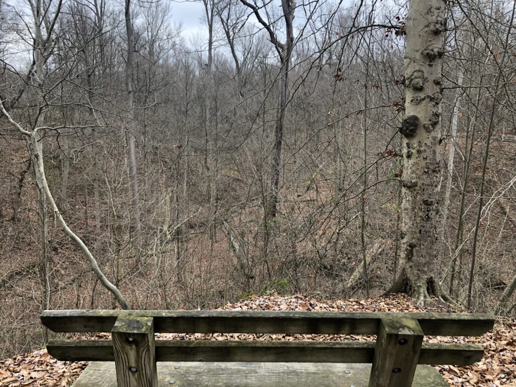 pine grove trail overlook