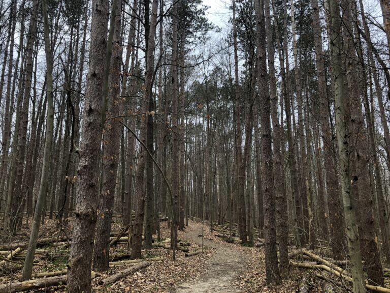 Pine Grove Trail (Cuyahoga Valley National Park)