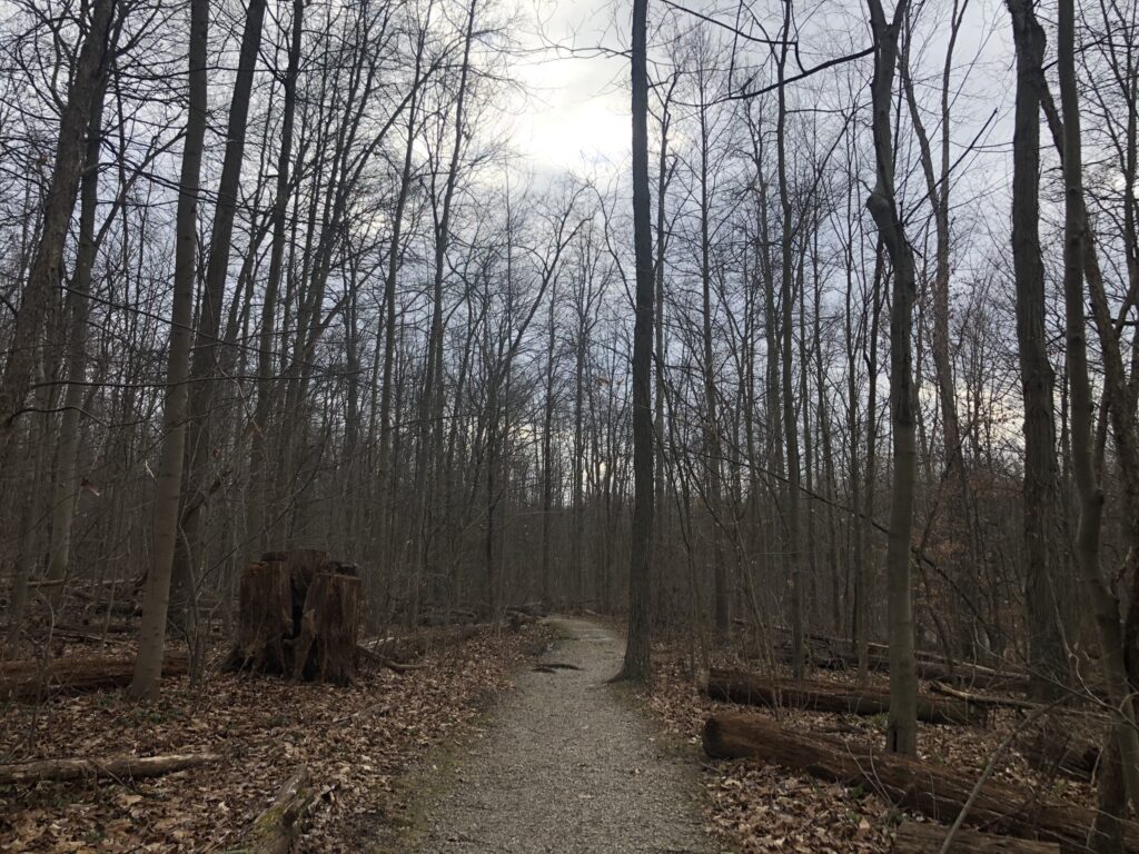 pine grove trailhead start