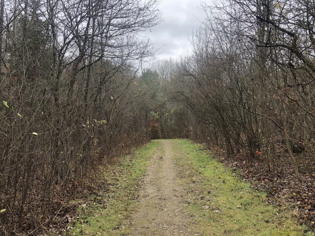 tree farm trail