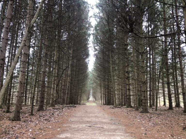 Tree Farm Trail (Cuyahoga Valley National Park)